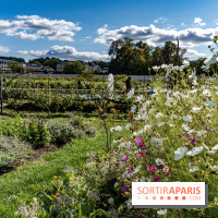Le Potager du Roi de Versailles, Journées du Patrimoine 