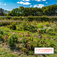 Le Potager du Roi de Versailles, Journées du Patrimoine 
