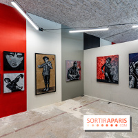 Exposition Jef Aérosol à Paris, 40 ans de pochoirs