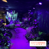 Forêt Bioluminescente - Serre Papillons