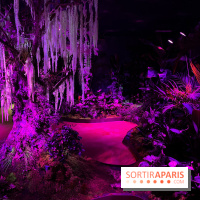 Forêt Bioluminescente - Serre Papillons