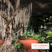 Serre Papillons - La Queue-lez-Yvelines