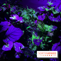 Forêt Bioluminescente - Serre Papillons