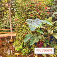 Serre Papillons - La Queue-lez-Yvelines