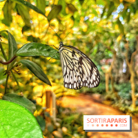 Serre Papillons - La Queue-lez-Yvelines