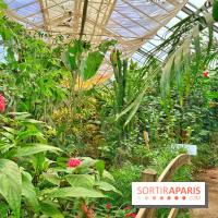 Serre Papillons - La Queue-lez-Yvelines