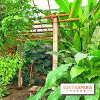 Serre Papillons - La Queue-lez-Yvelines