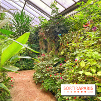 Serre Papillons - La Queue-lez-Yvelines