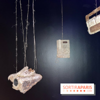 Le Chant des Forêts, l'exposition sensible et gratuite du Maif Social Club