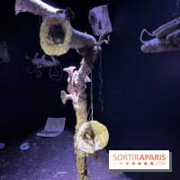 Le Chant des Forêts, l'exposition sensible et gratuite du Maif Social Club