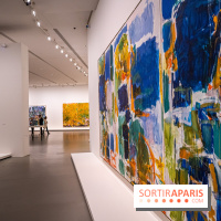 Exposition Monet - Mitchell Fondation Vuitton - Joan Mitchell  -  impressionnisme abstrait
