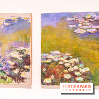 Exposition Monet - Mitchell Fondation Vuitton