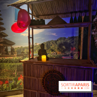 Spa Luxury Paris, un moment de détente immersif dans des décors de rêve