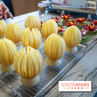 L'Éclair de Génie Café Paris - nénuphar