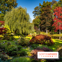 Le Jardin japonais du Château de Courances