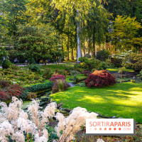 Le Jardin japonais du Château de Courances
