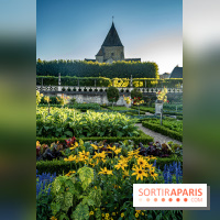 Le Château de Villandry et ses jardins