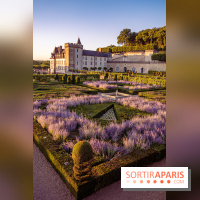 Le Château de Villandry et ses jardins
