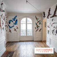 Roadmap, l'exposition street-art par Colors Festival