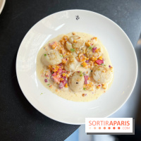 Restaurant Ardent - Saint-Jacques