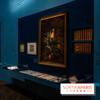 Exposition Louis XV au Château de Versailles - vélins du roi