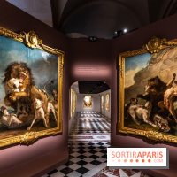 Exposition Louis XV au Château de Versailles - le roi chasseur - lion d'afrique - ours de Pologne - jean Jacques bachelier