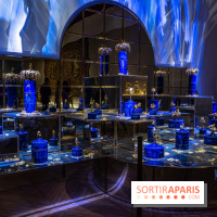 Exposition Louis XV au Château de Versailles 