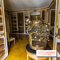 Les appartements de Madame Du Barry restaurés au Château de Versailles - bibliothèque