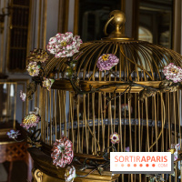 Les appartements de Madame Du Barry restaurés au Château de Versailles - bibliothèque