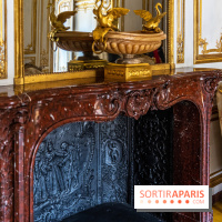 Les appartements de Madame Du Barry restaurés au Château de Versailles - cheminée