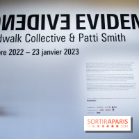 Patti Smith & Soundwalk Collective au Centre Pompidou, nos photos