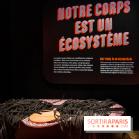 Mini-monstres, nos photos de l'exposition à la galerie de Géologie du Muséum d'Histoire naturelle