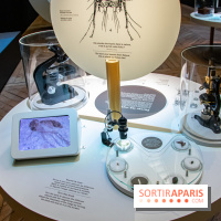 Mini-monstres, nos photos de l'exposition à la galerie de Géologie du Muséum d'Histoire naturelle