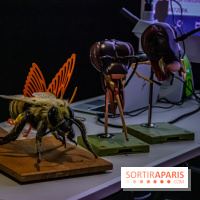 Mini-monstres, nos photos de l'exposition à la galerie de Géologie du Muséum d'Histoire naturelle