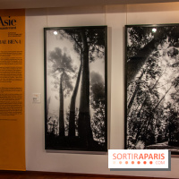 L'Asie Maintenant 2022, l'exposition en partenariat avec Asia Now au Musée Guimet