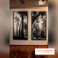 L'Asie Maintenant 2022, l'exposition en partenariat avec Asia Now au Musée Guimet