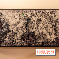 L'Asie Maintenant 2022, l'exposition en partenariat avec Asia Now au Musée Guimet