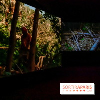 Exposition au Palais de Tokyo : Shéhérazade, la nuit - nos photos