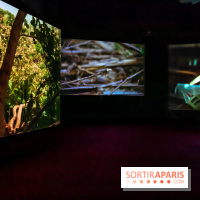 Exposition au Palais de Tokyo : Shéhérazade, la nuit - nos photos