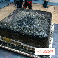 Exposition HUMPTY\DUMPTY au Palais de Tokyo et à Lafayette Anticipations - nos photos