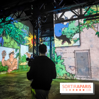 Tintin, l'aventure immersive à l'Atelier des Lumières : l'exposition insolite à vivre - nos photos