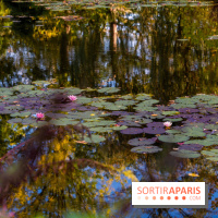 Les Jardins de la Maison Claude Monet à l'automne