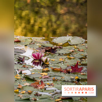 Les Jardins de la Maison Claude Monet à l'automne