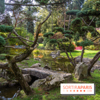 Le Jardin Japonais secret d'Aincourt