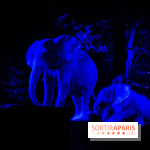 Thoiry Lumières Sauvages 2022 - 2023