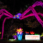 Thoiry Lumières Sauvages 2022 - 2023