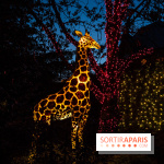 Thoiry Lumières Sauvages 2022 - 2023