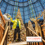 Noël Paris visuels - sapin de noël