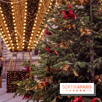 Noël Paris visuels - sapin