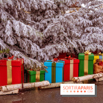 Noël Paris visuels - cadeau Noël